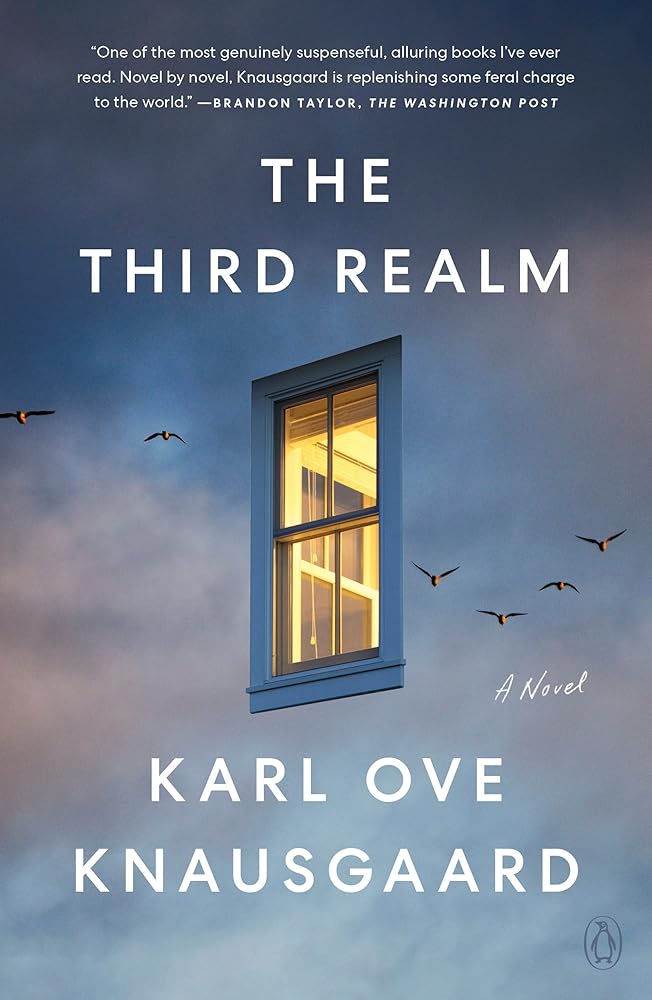 The Third Realm: A Novel cover image