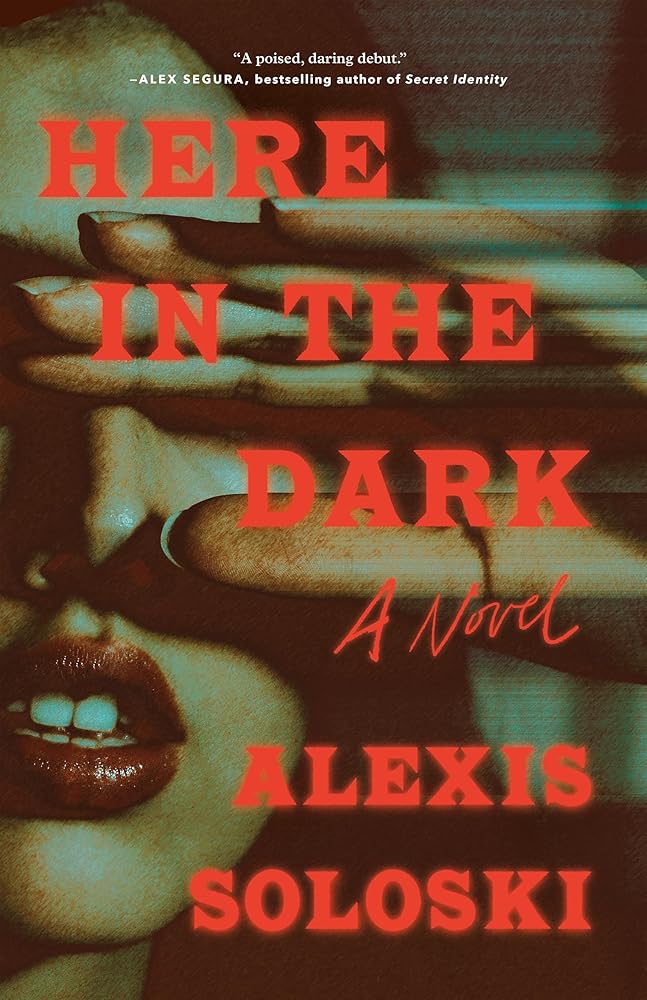Here in the Dark: A Novel cover image