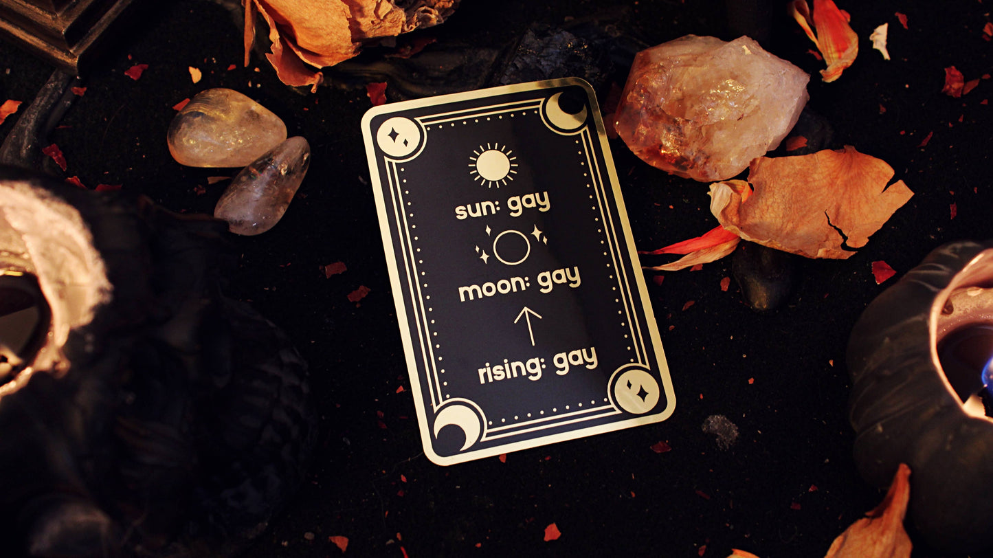Gay Signs Sticker