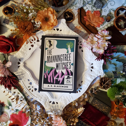 The Manningtree Witches: A Novel