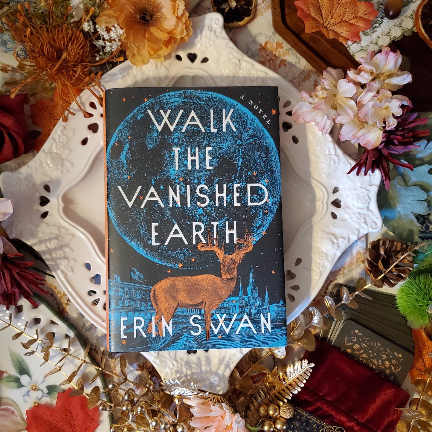 Walk the Vanished Earth: A Novel