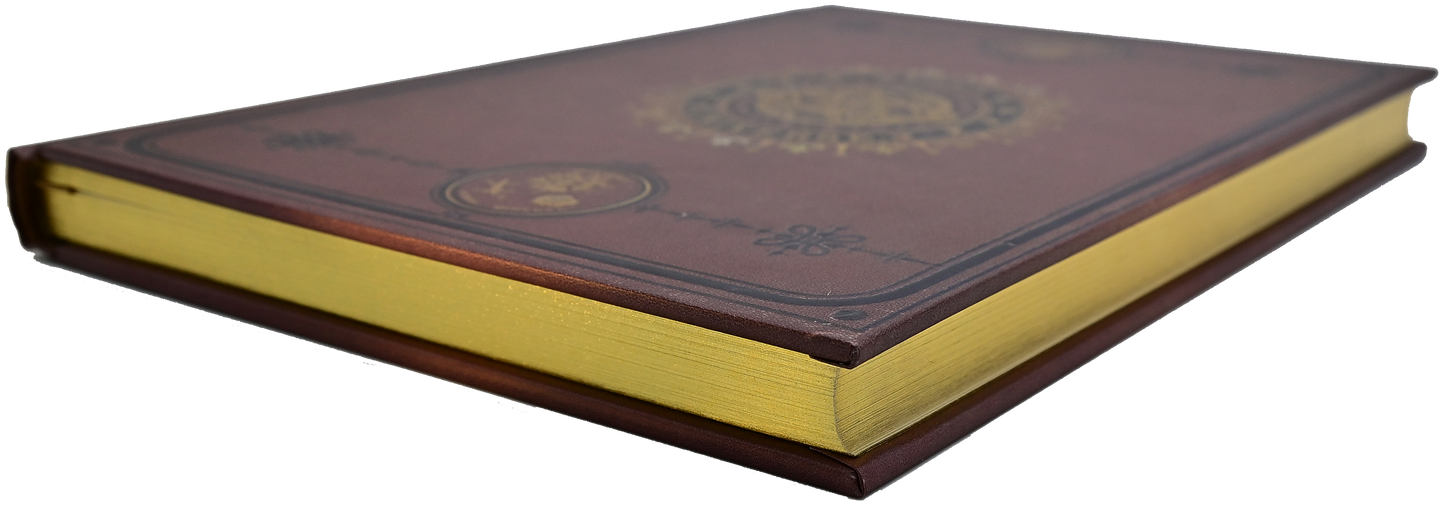 The Universe Journal