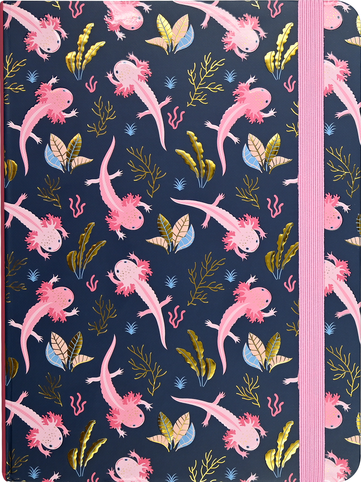 Axolotl Journal