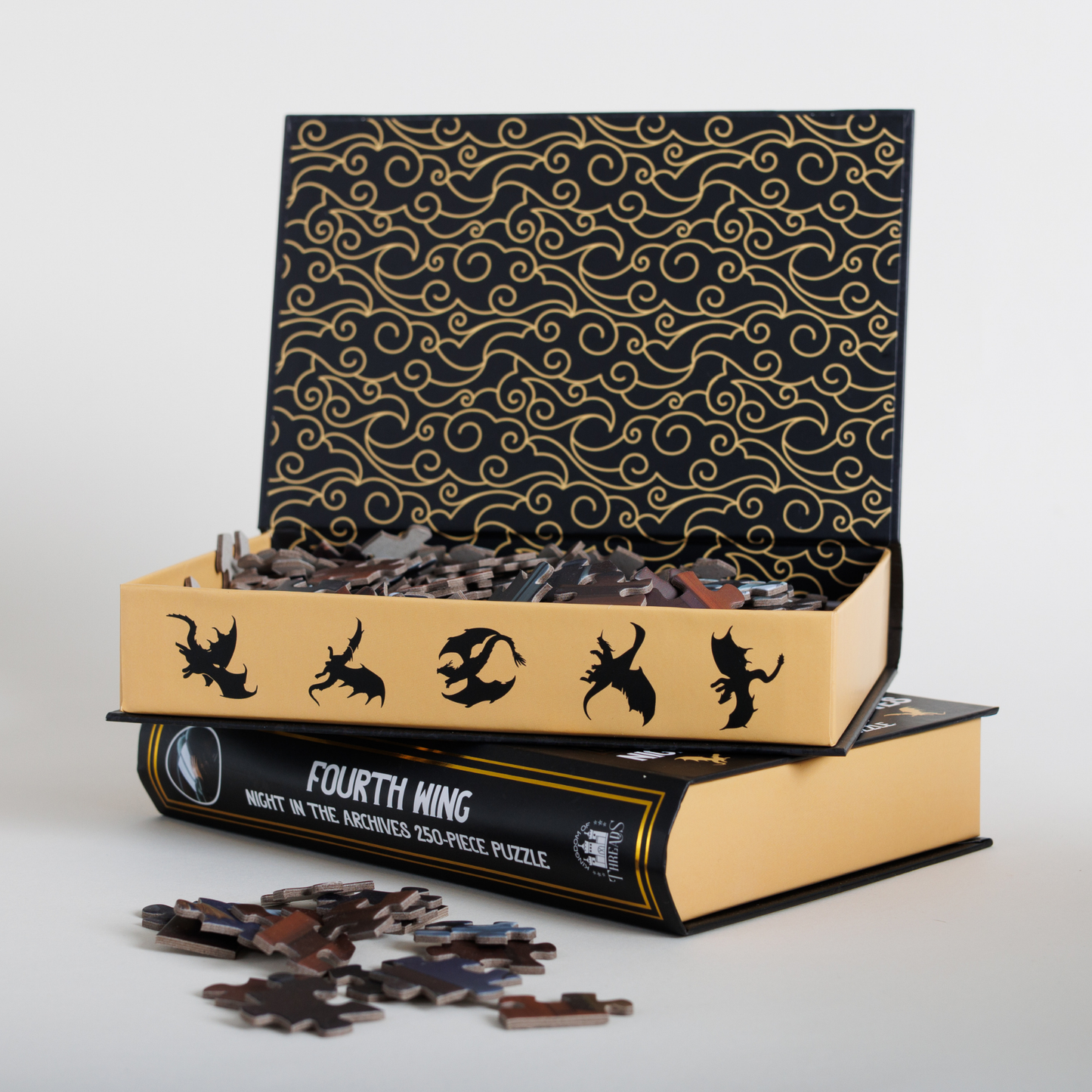 Night in the Archives Keepsake Puzzle | Fourth Wing