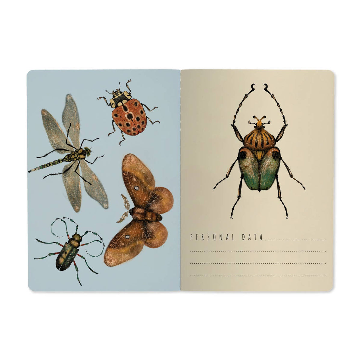Entomology A5 Notebook 