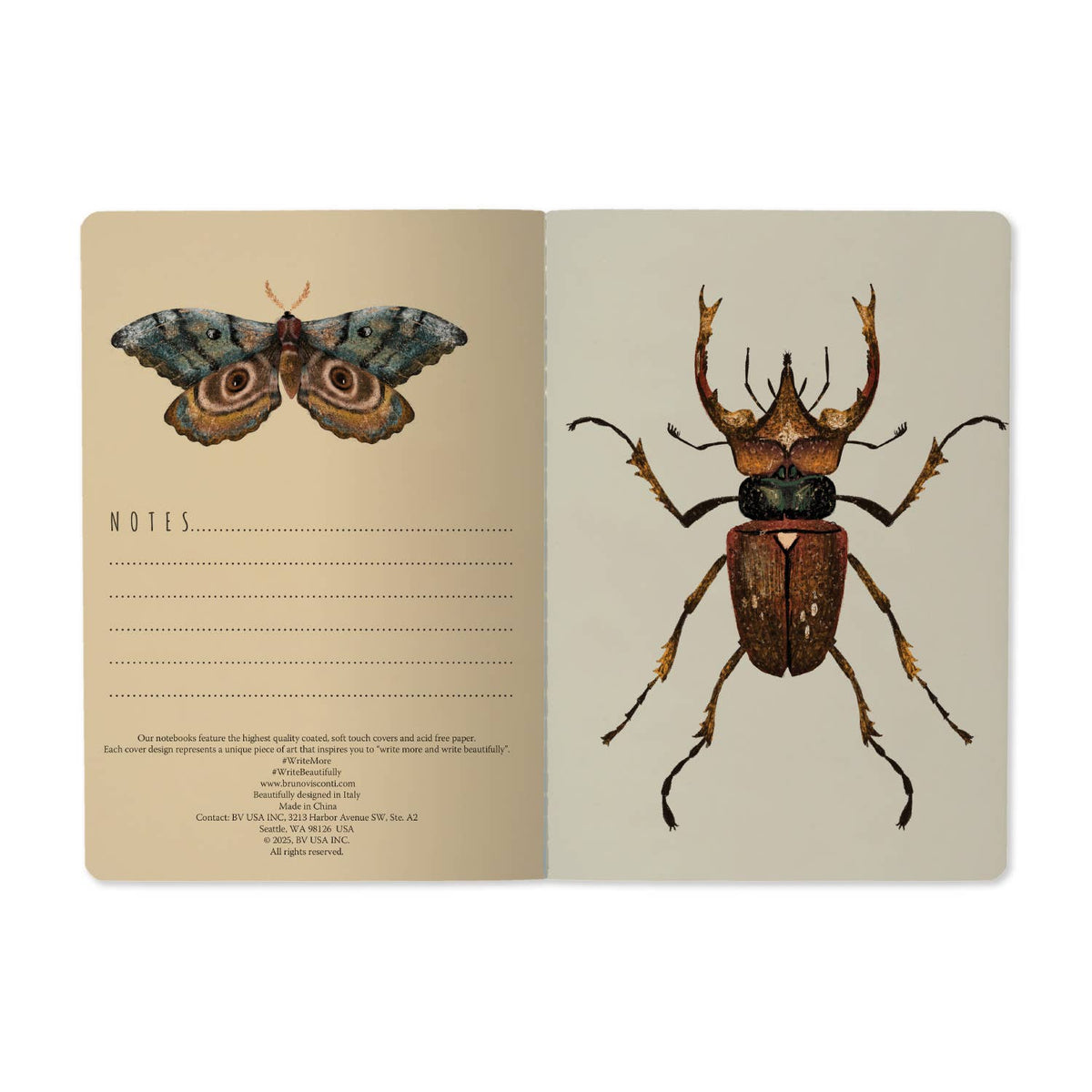 Entomology A5 Notebook 