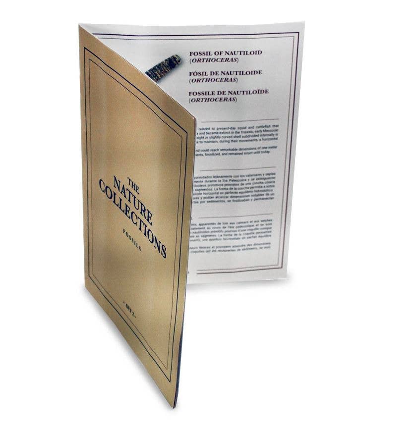 GEOWorld - The Nature Collections - Fossils Set #2