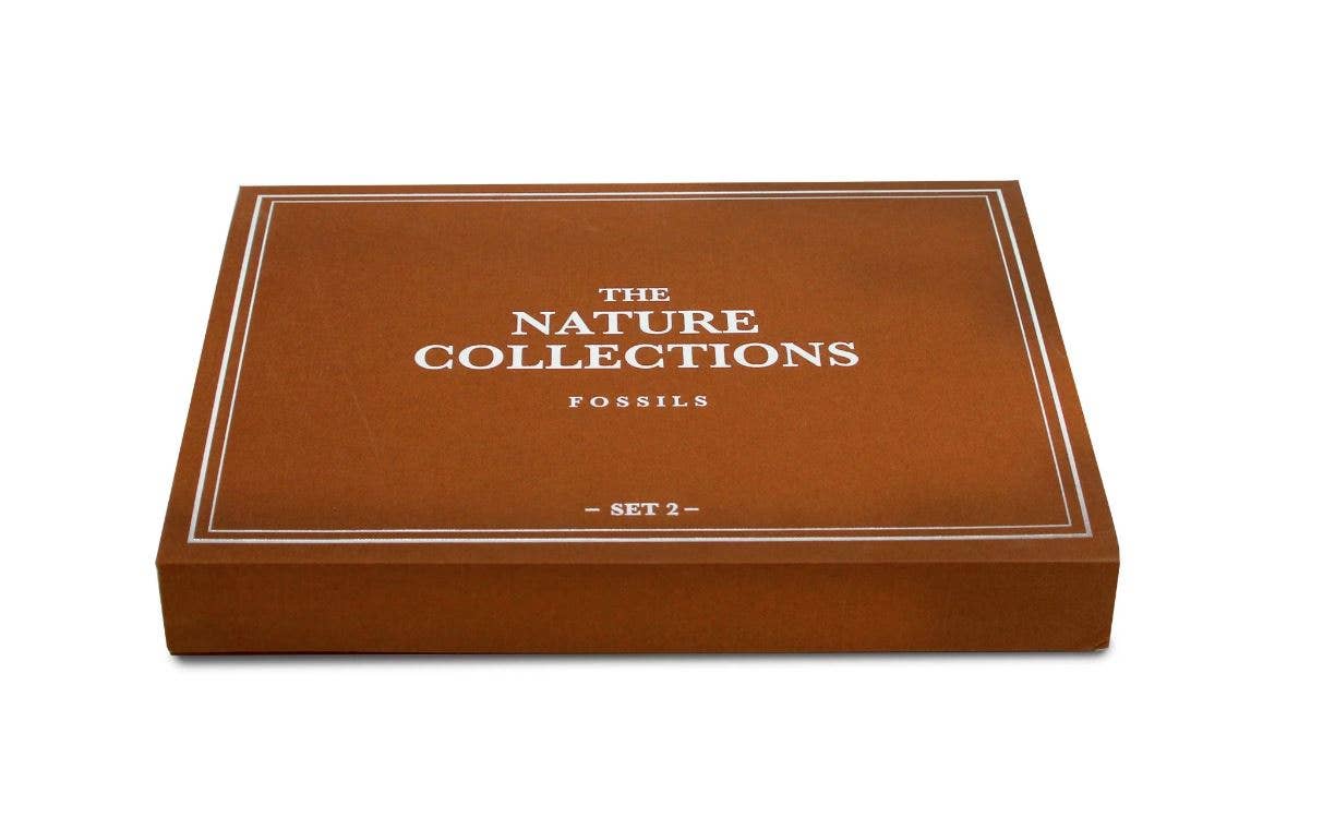 GEOWorld - The Nature Collections - Fossils Set #2