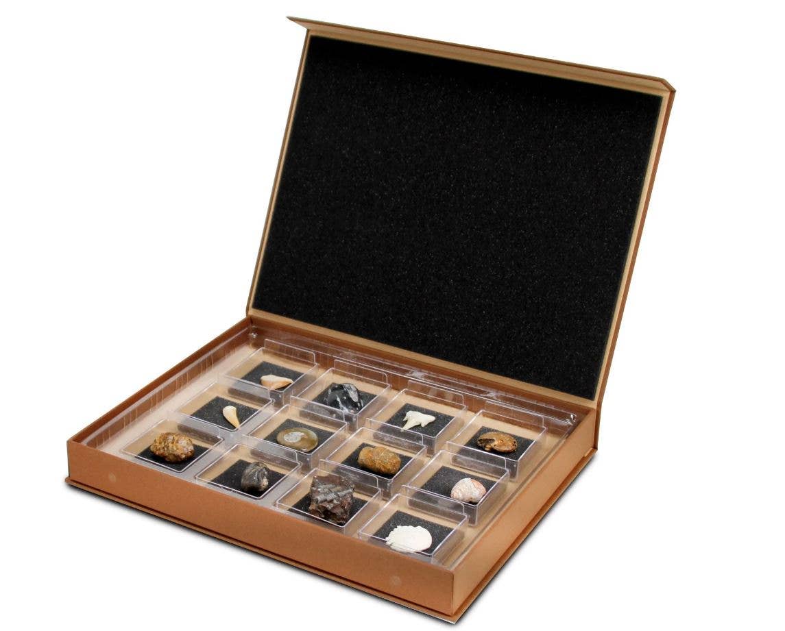 GEOWorld - The Nature Collections - Fossils Set #1