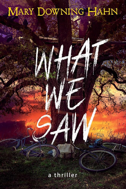 What We Saw: A Thriller cover image