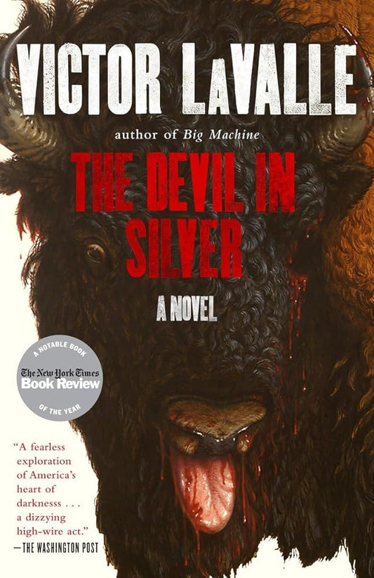 The Devil in Silver: A Novel cover image