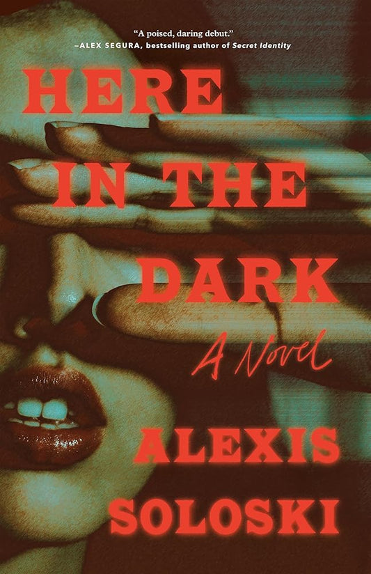 Here in the Dark: A Novel cover image