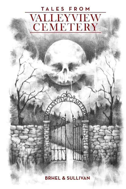 Tales from Valleyview Cemetery cover image