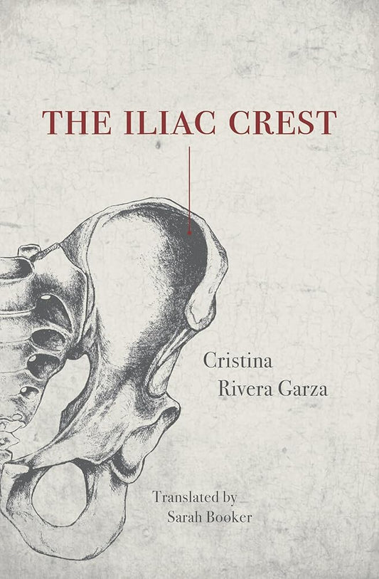 The Iliac Crest cover image