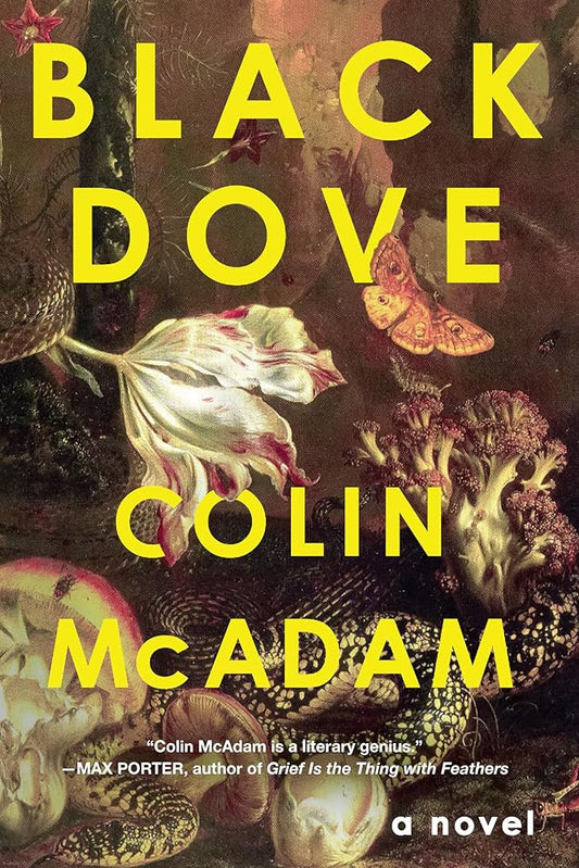 Black Dove cover image