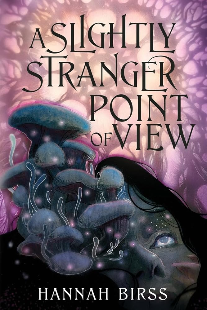 A Slightly Stranger Point of View cover image