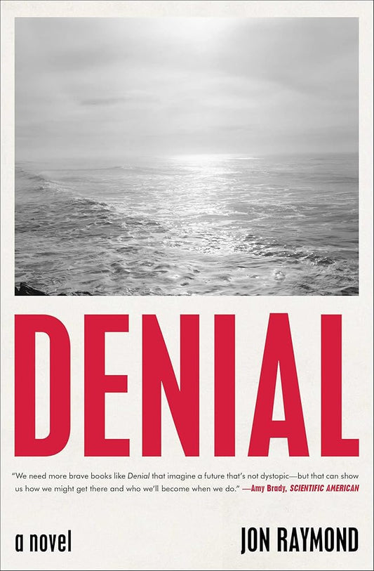 Denial: A Novel cover image