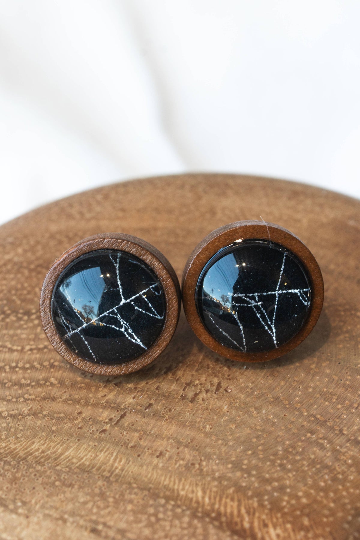 Real Spider Web Earrings
