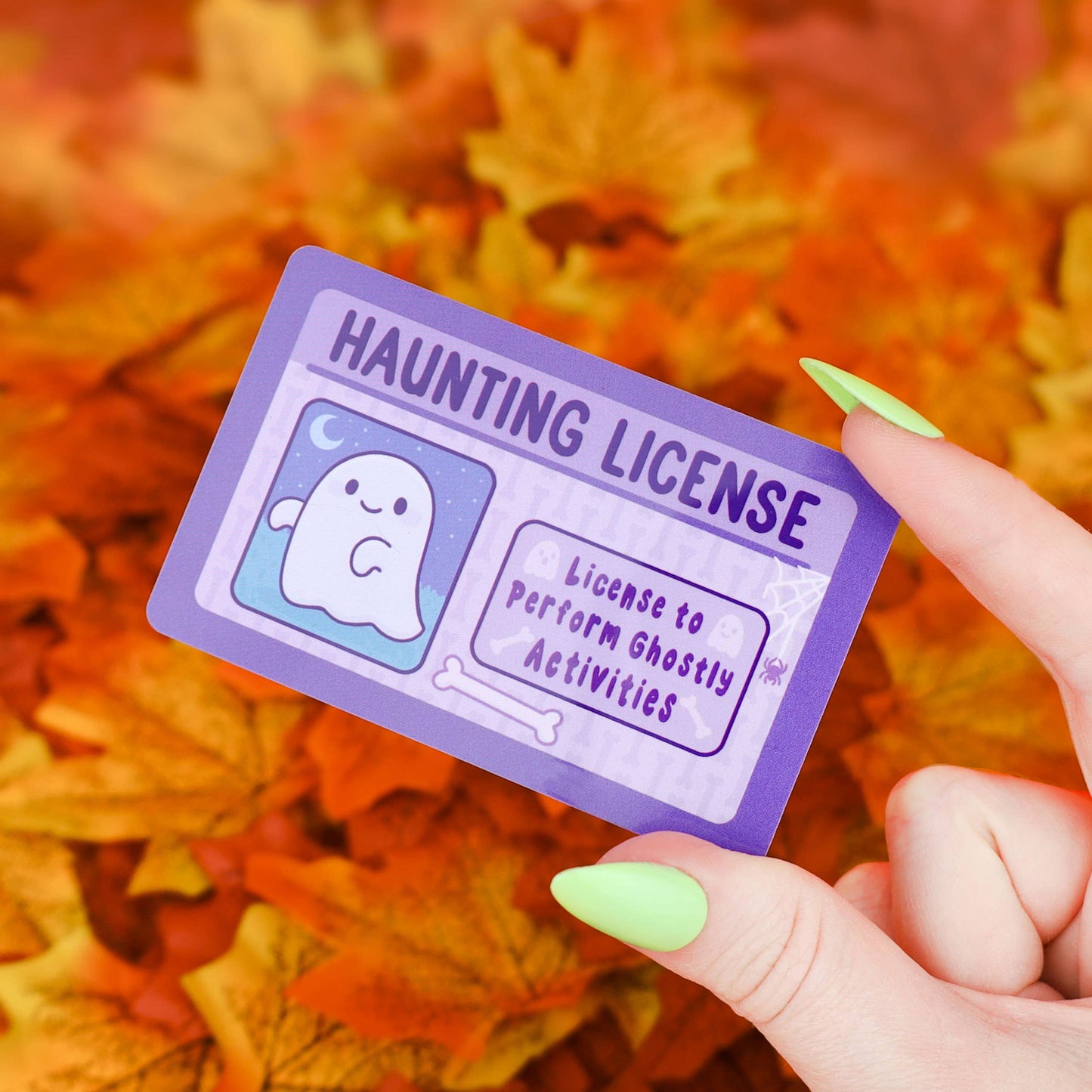 Haunting License Fake ID Fake Drivers License