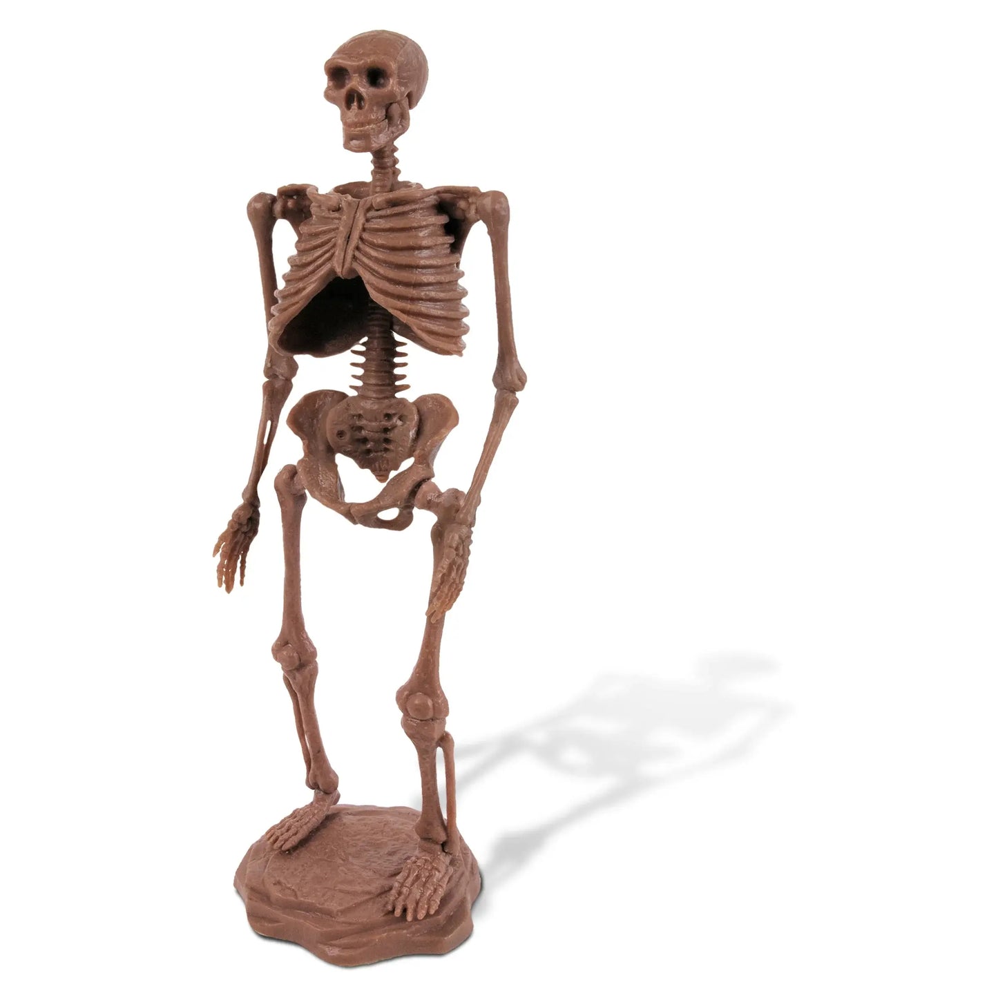 GEOWorld Cave Man Excavation Kit - Homo neanderthalensis