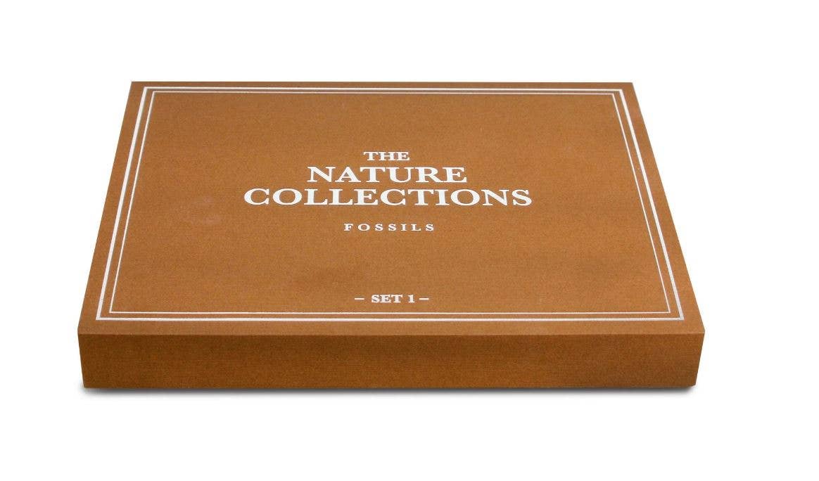 GEOWorld - The Nature Collections - Fossils Set #1